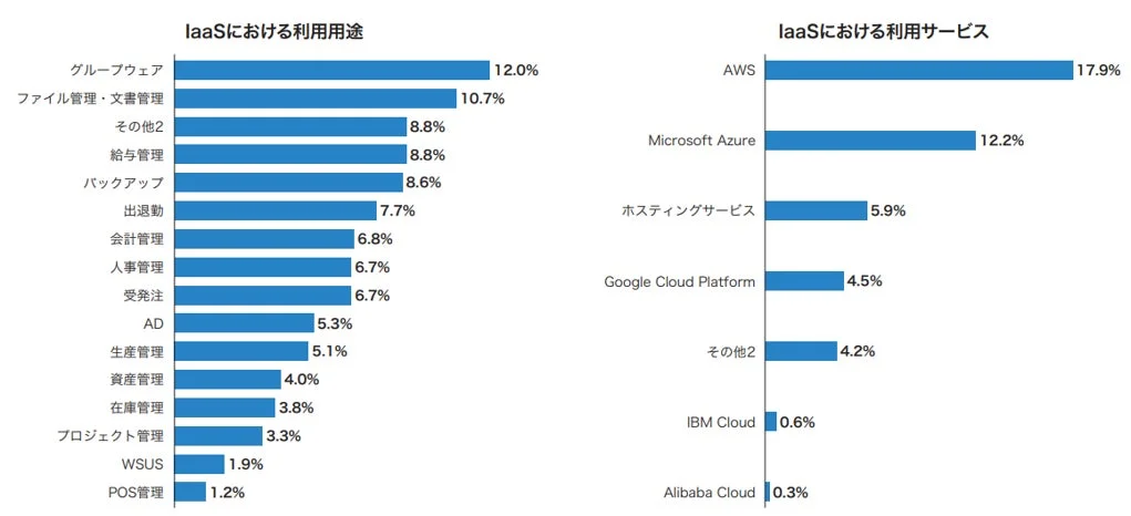 IaaSの利用用途と利用サービスに関する棒グラフ