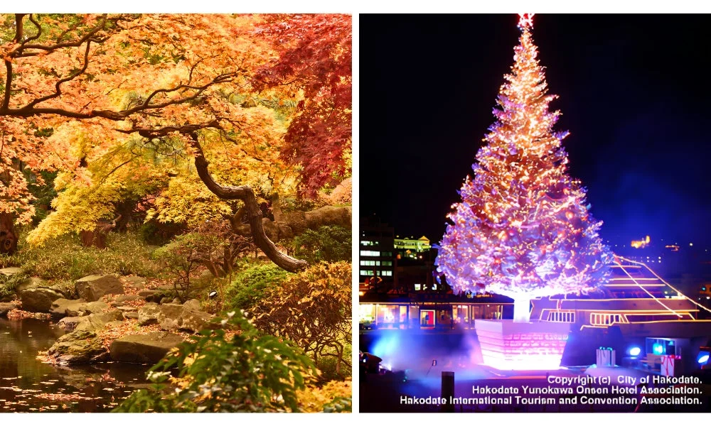 紅葉の日本庭園と夜のクリスマスツリー