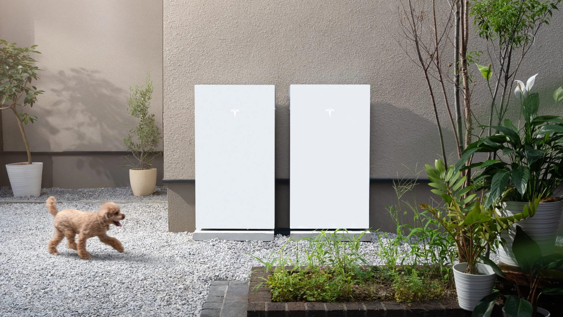 庭に設置された2台のテスラ製蓄電池（パワーウォール）と、その前を元気よく走る小型犬