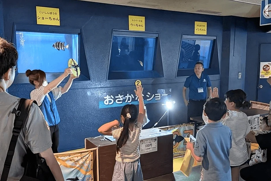 水族館で魚のショーを楽しむ人々