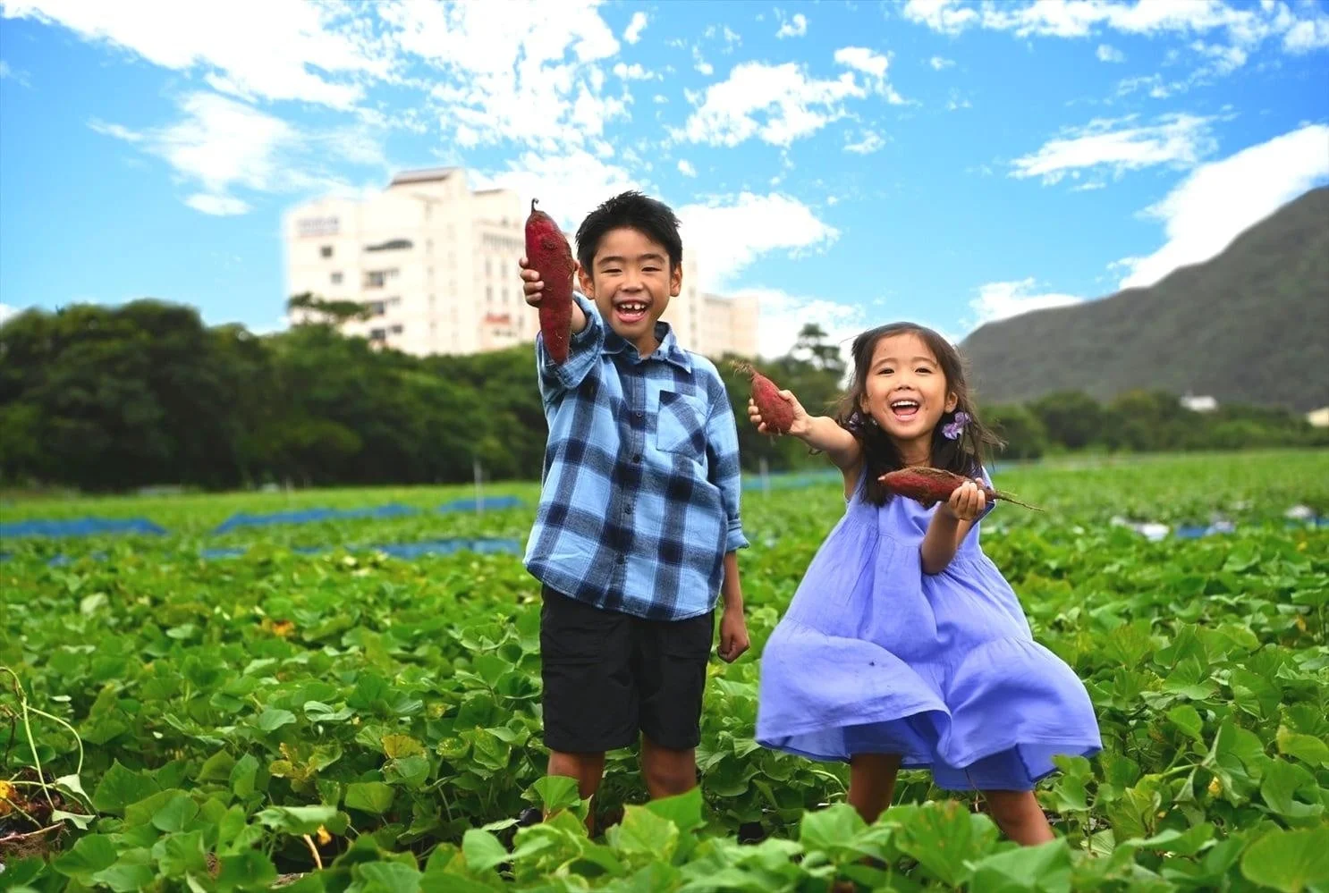 子供がサツマイモを持つ様子