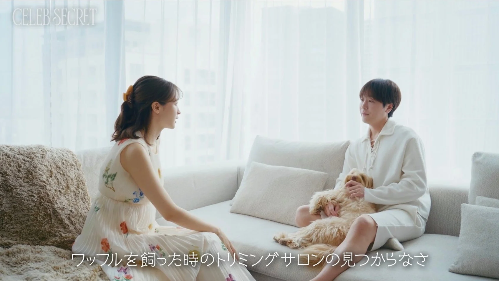 藤井サチと犬