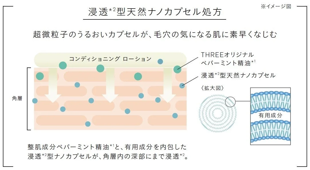 ローションの浸透型天然ナノカプセル処方イメージ図