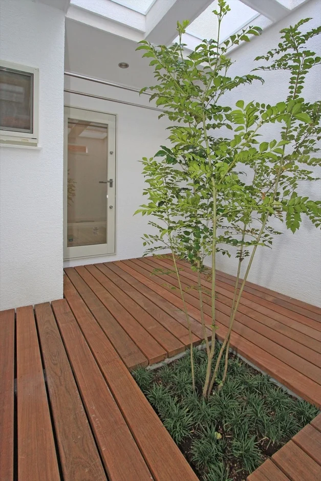 中庭の植栽