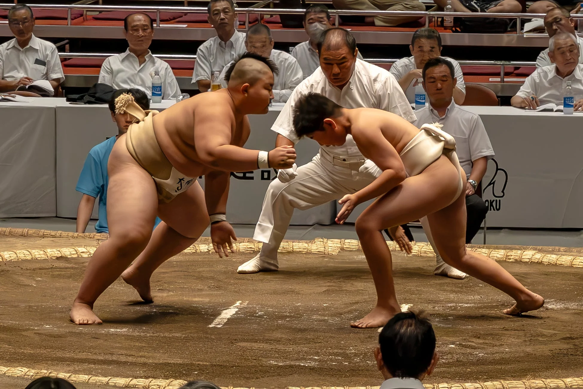 土俵の上の力士と審判