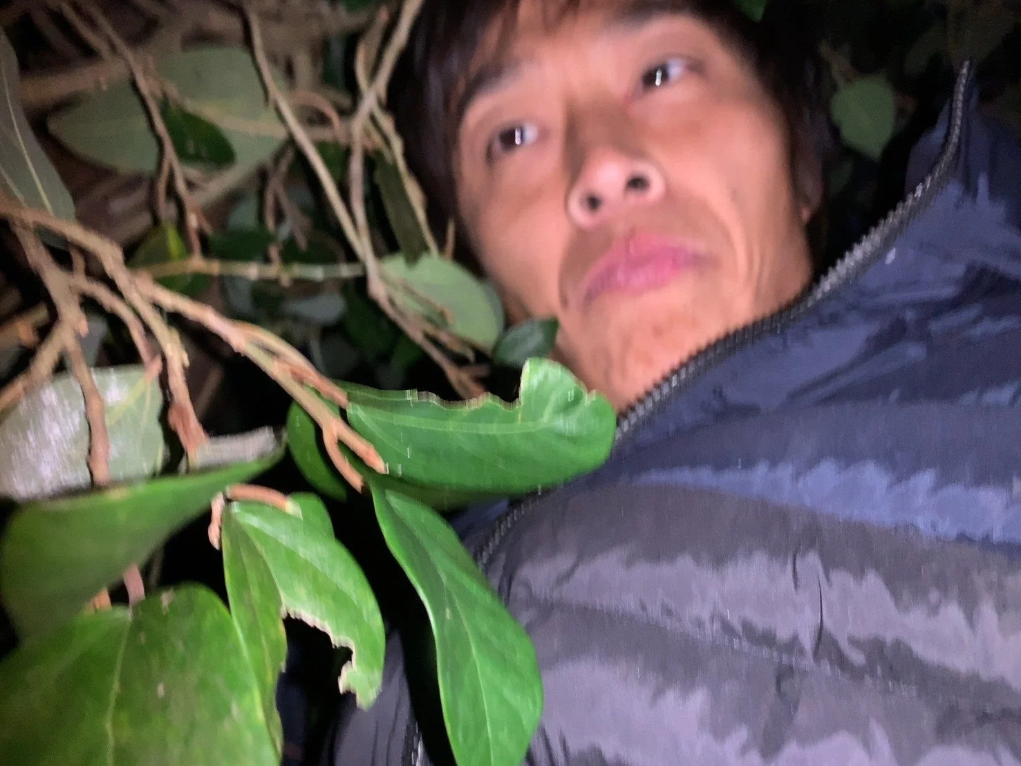 隠れる人