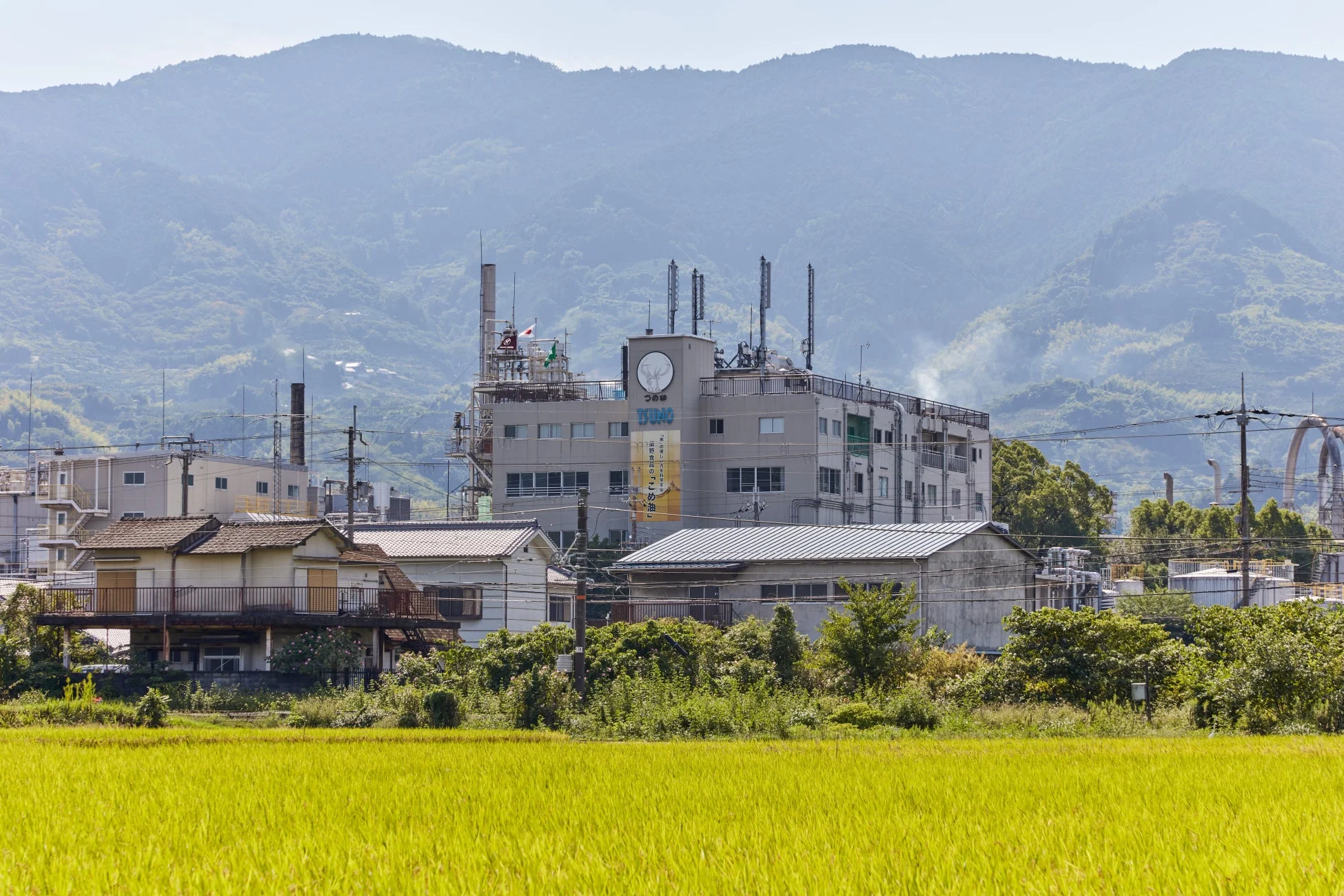 築野食品工業の風景