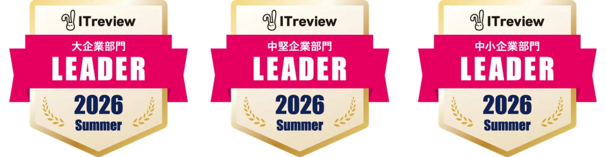 ITreview 大企業部門 LEADER 2026 Summer