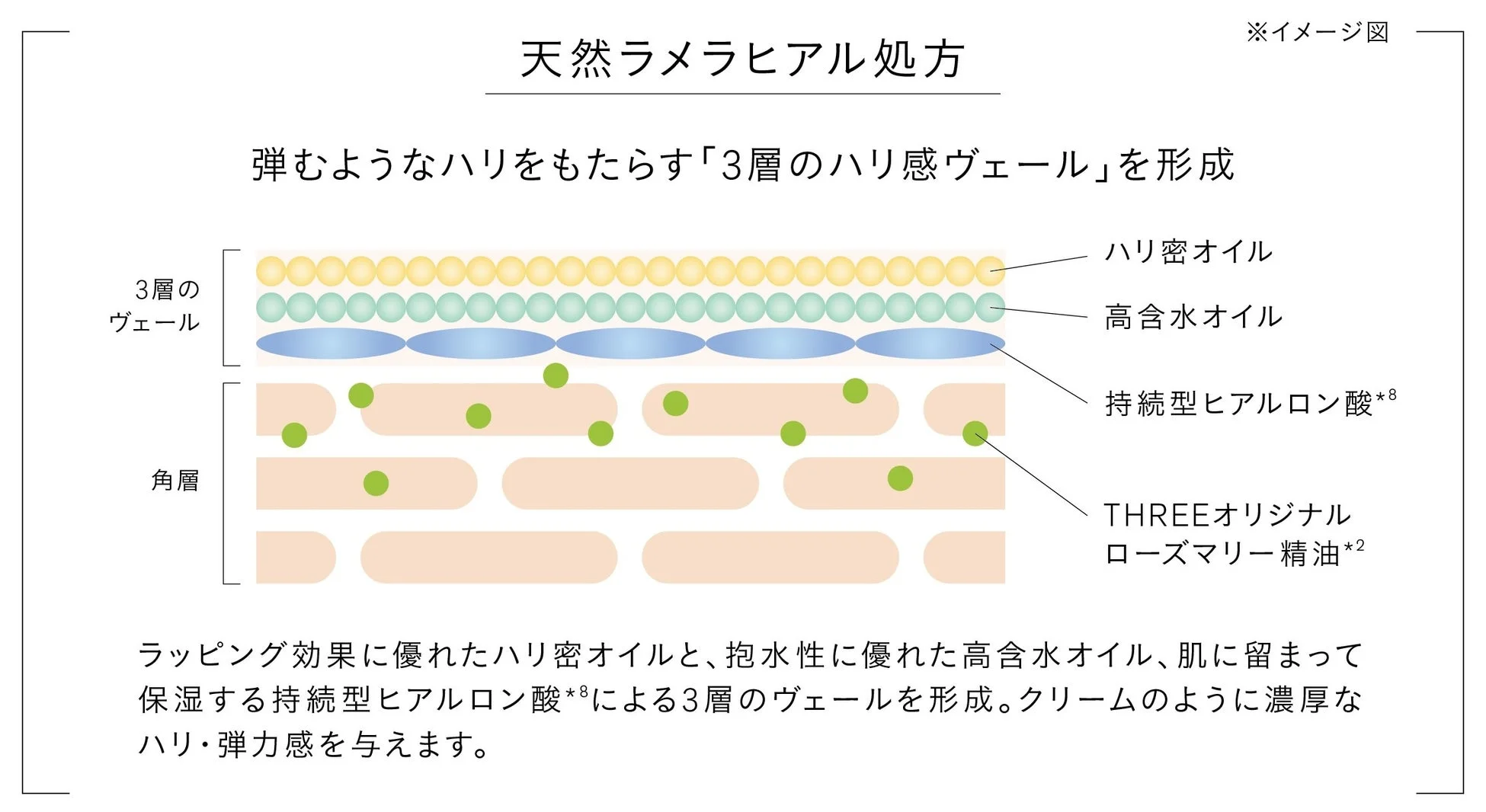 モイスチャライザーの天然ラメラヒアル処方イメージ図