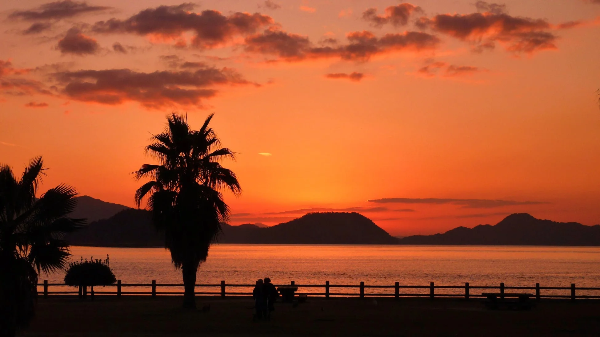 燃えるような夕焼け空と海を背景に、ヤシの木や山々がシルエットとなって浮かび上がる美しい風景です。水面に反射する夕日の光が印象的で、穏やかな雰囲気が漂っています。