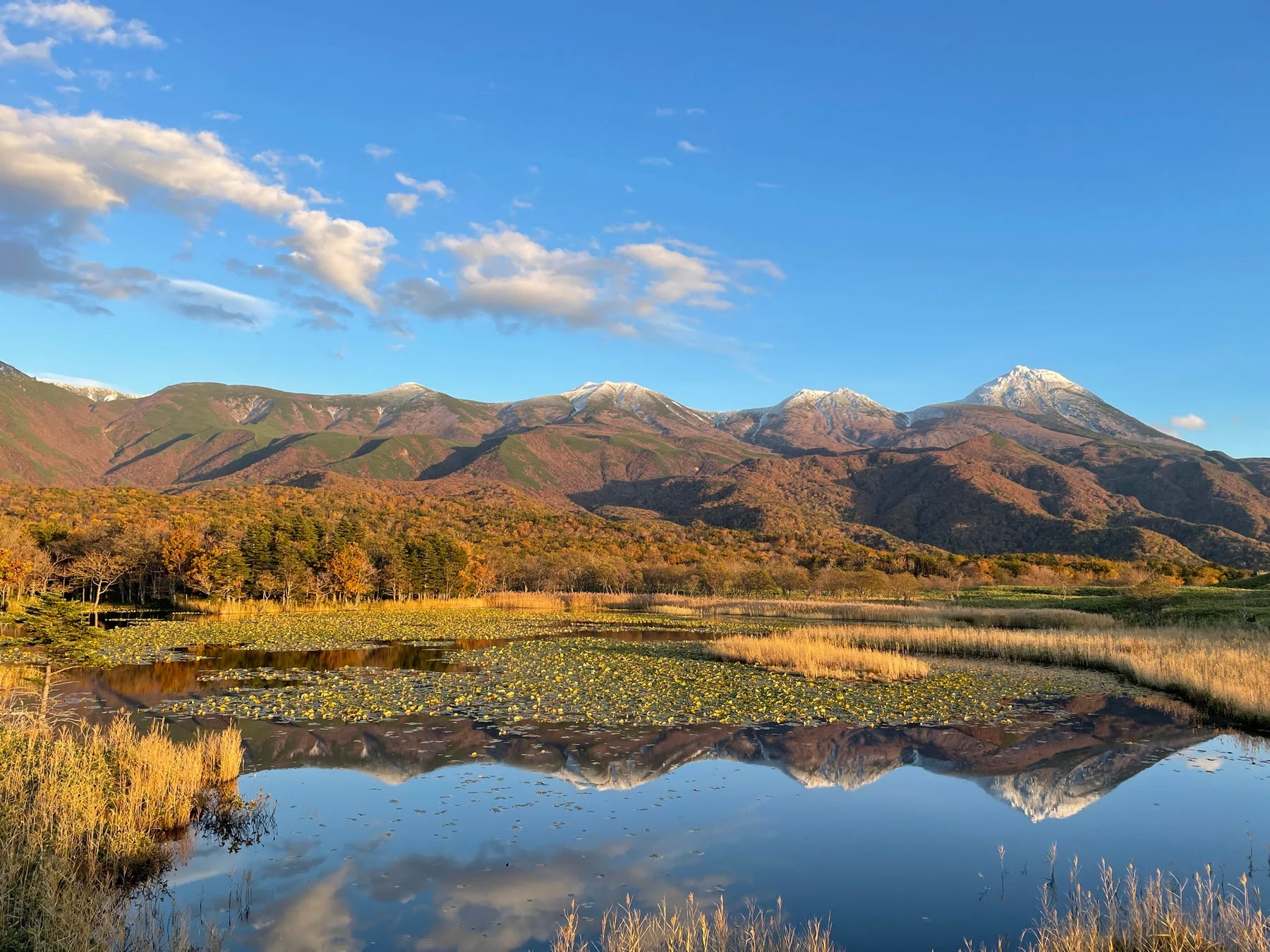 秋の美しい自然風景が広がる一枚。雪を頂く山々が紅葉した木々と共に連なり、その手前には静かな湖が広がっています。青い空と白い雲、そして遠くの山々が水面に鮮やかに映り込み、手前の黄金色の草木が季節の移ろいを感じさせます。