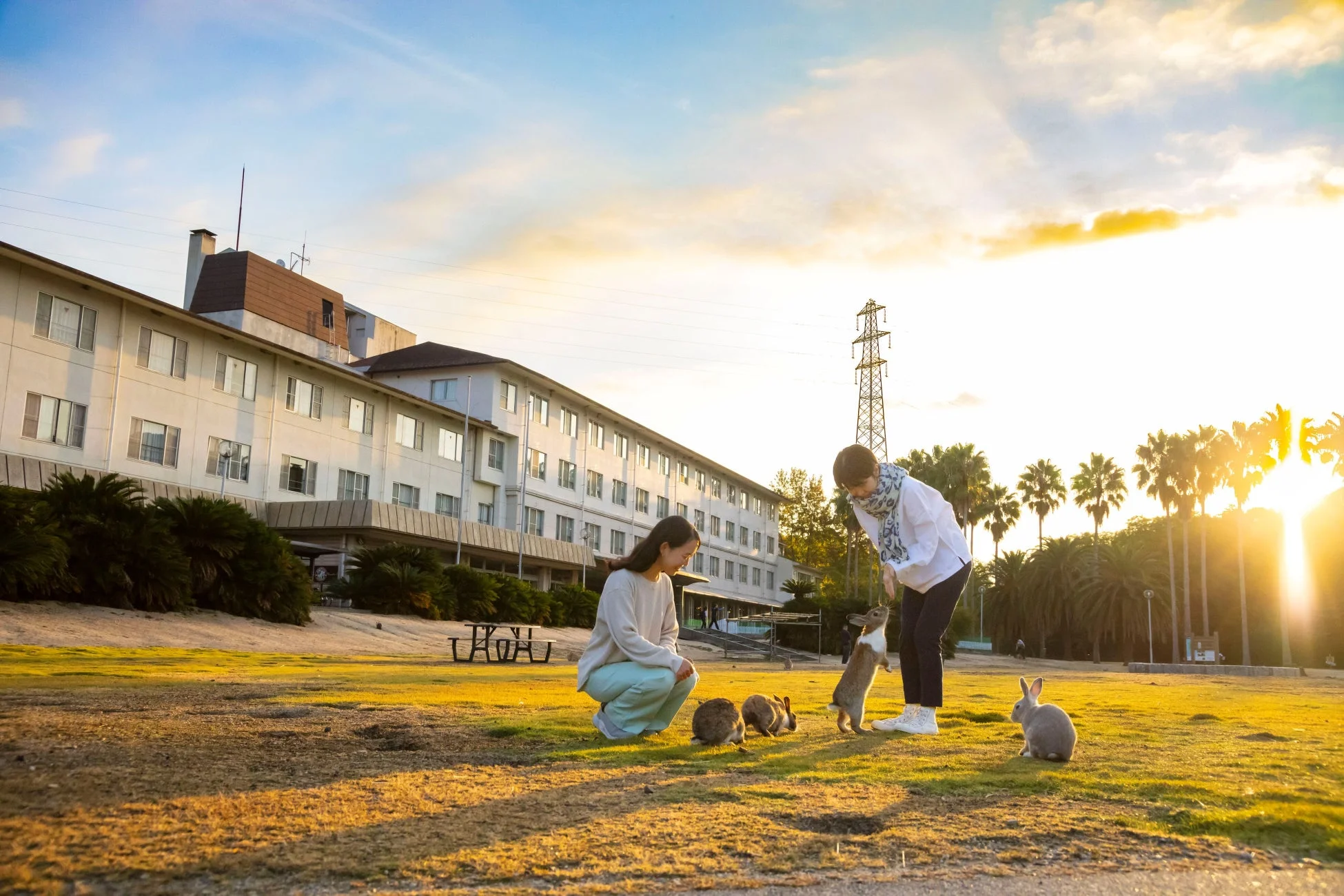 夕焼け空の下、芝生の上で二人の女性が数匹のうさぎと触れ合っている。背景にはホテルらしき建物とヤシの木が見え、穏やかで心温まる光景が広がっている。