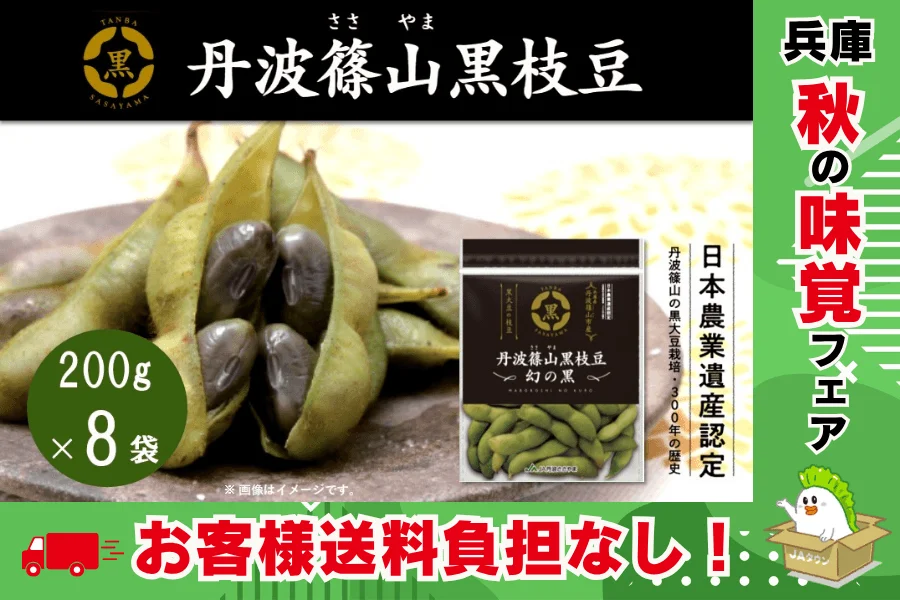 丹波篠山黒枝豆のイメージ