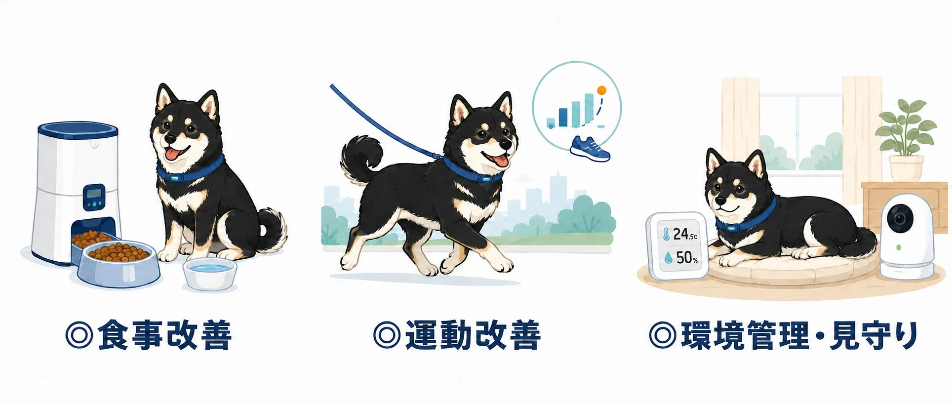 犬の健康管理について、食事改善、運動改善、環境管理と監視の3つの側面