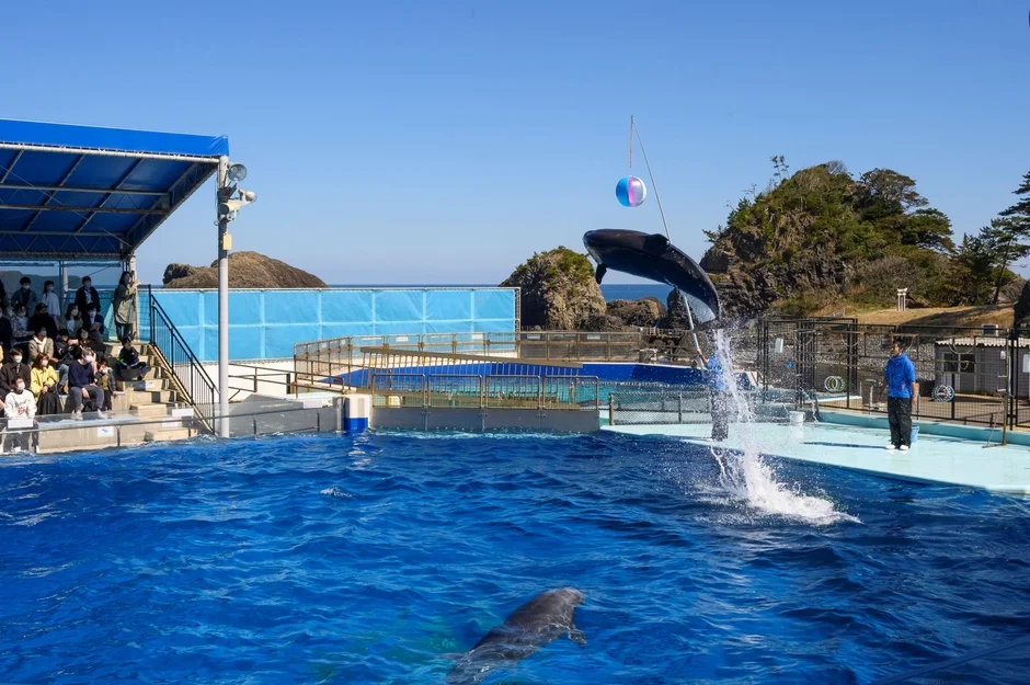 越前松島水族館