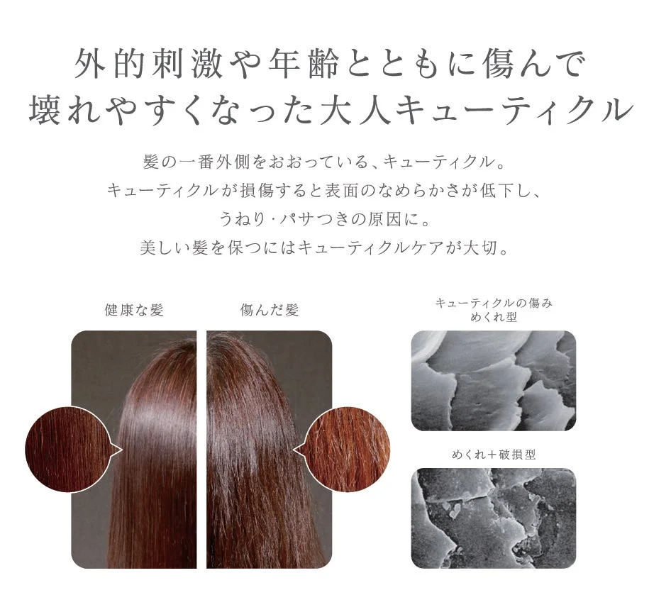 大人キューティクルに関する図