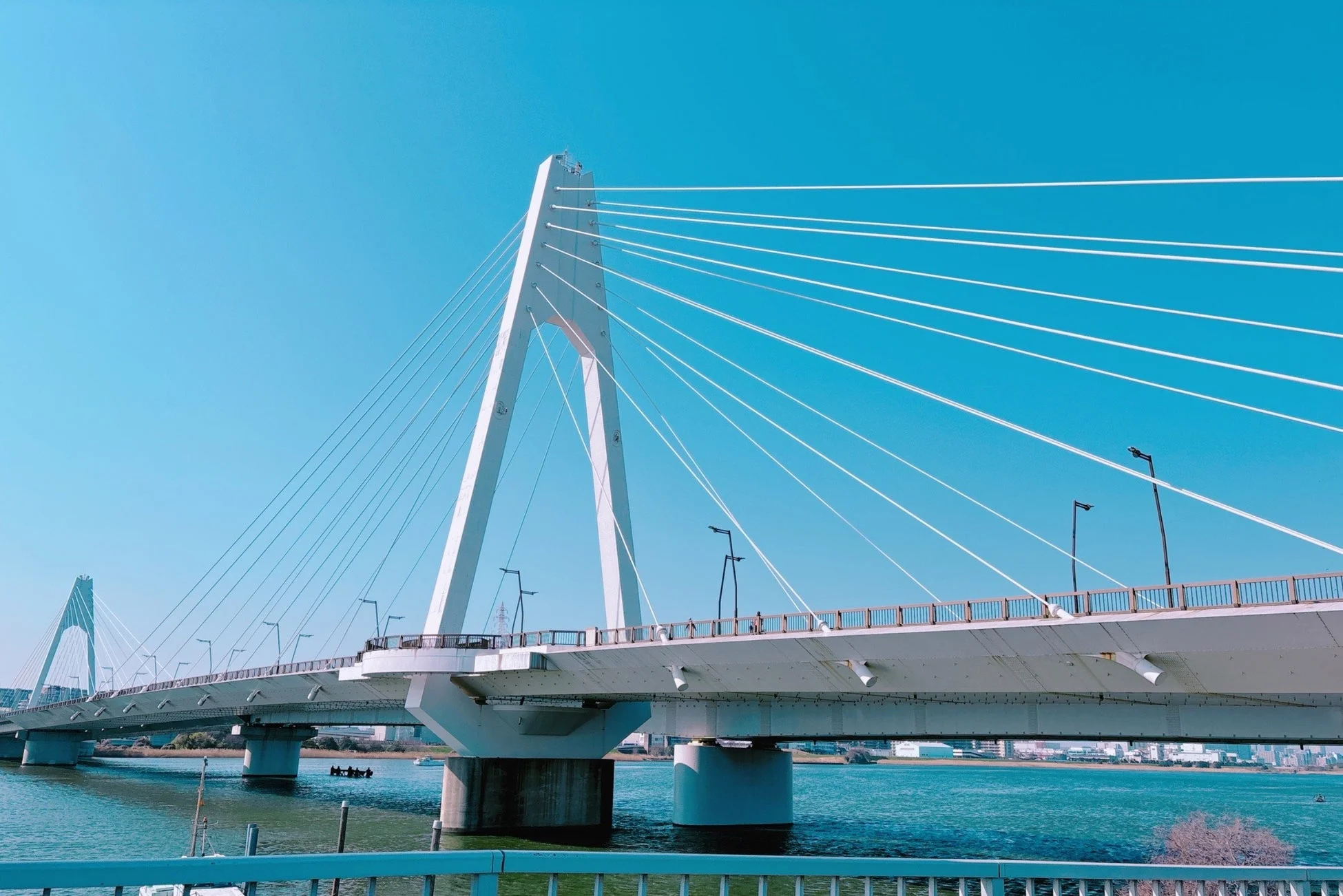 ケーブルステイード橋