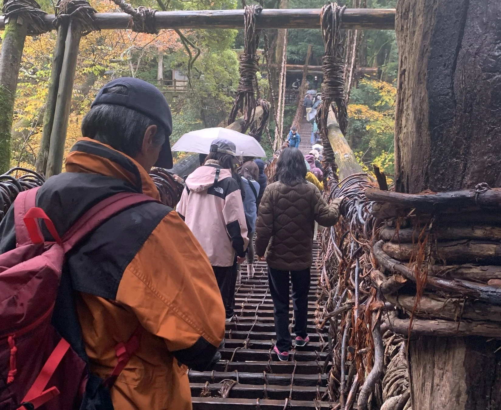 祖谷のかずら橋