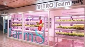 メトロファームの植物工場
