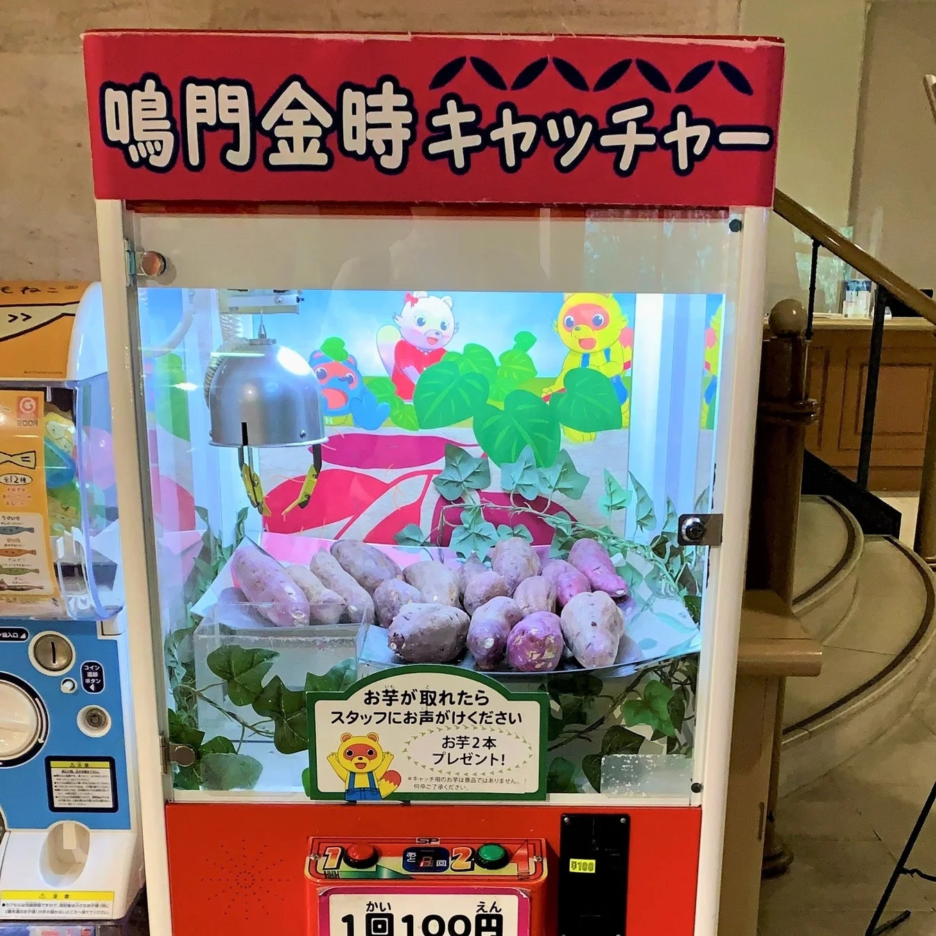 鳴門金時が景品のクレーンゲーム