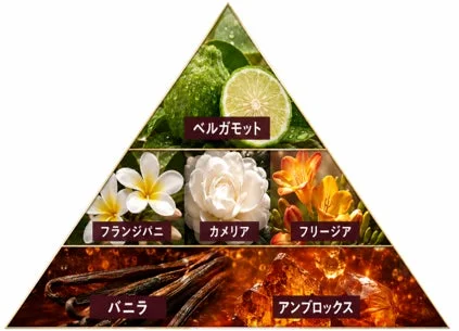 香水の香調をピラミッド状に示した図