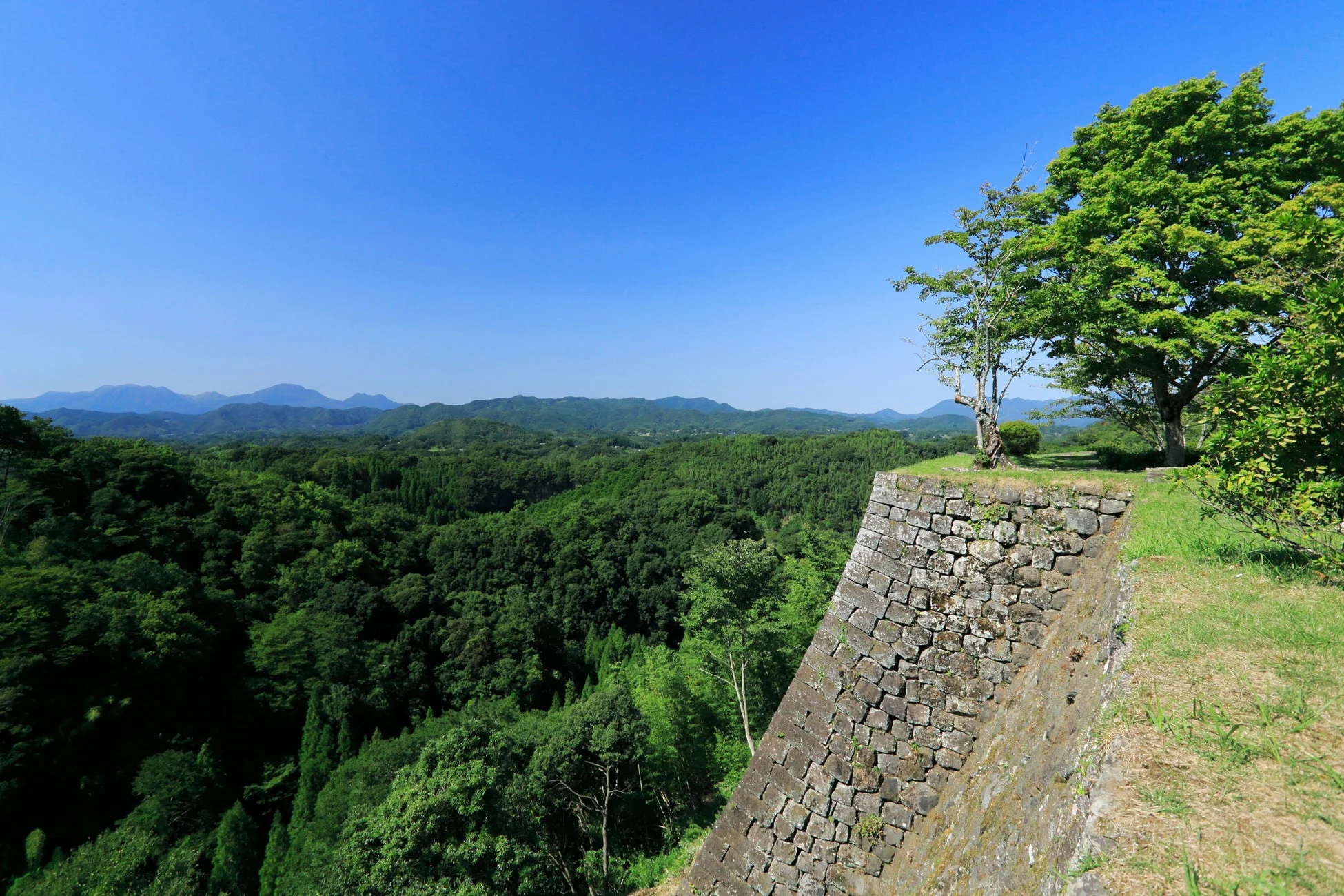 岡城跡の風景