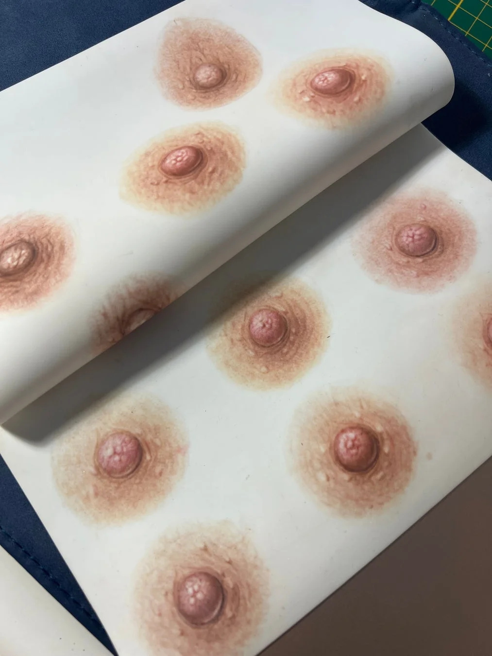 乳輪アートメイクの模型