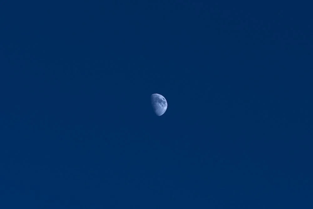 夜空の月