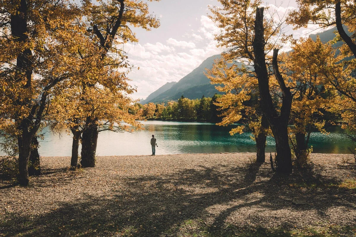 秋の湖畔の風景