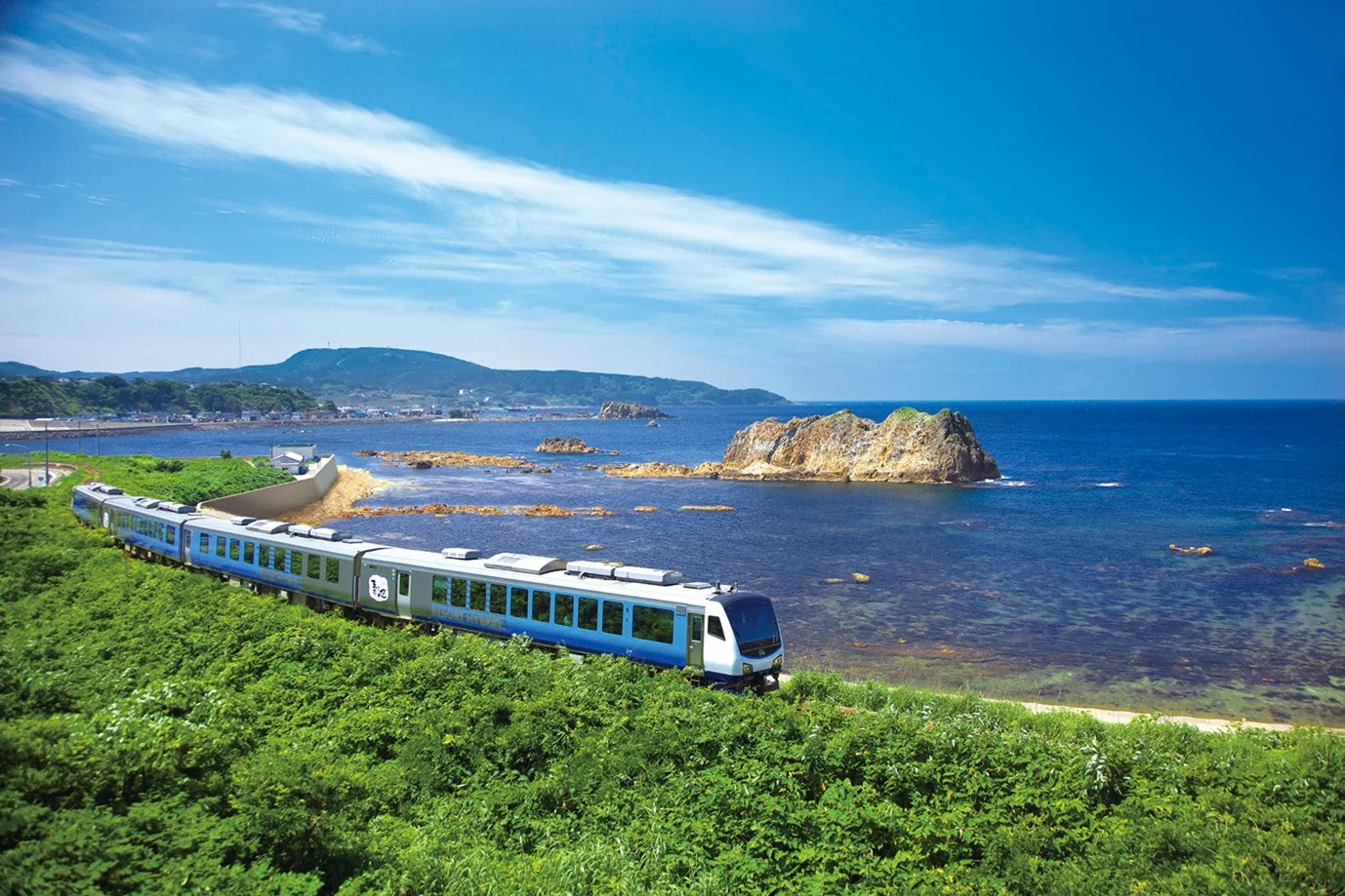 晴れた日に、青い海と緑豊かな海岸線を走る青と白の列車