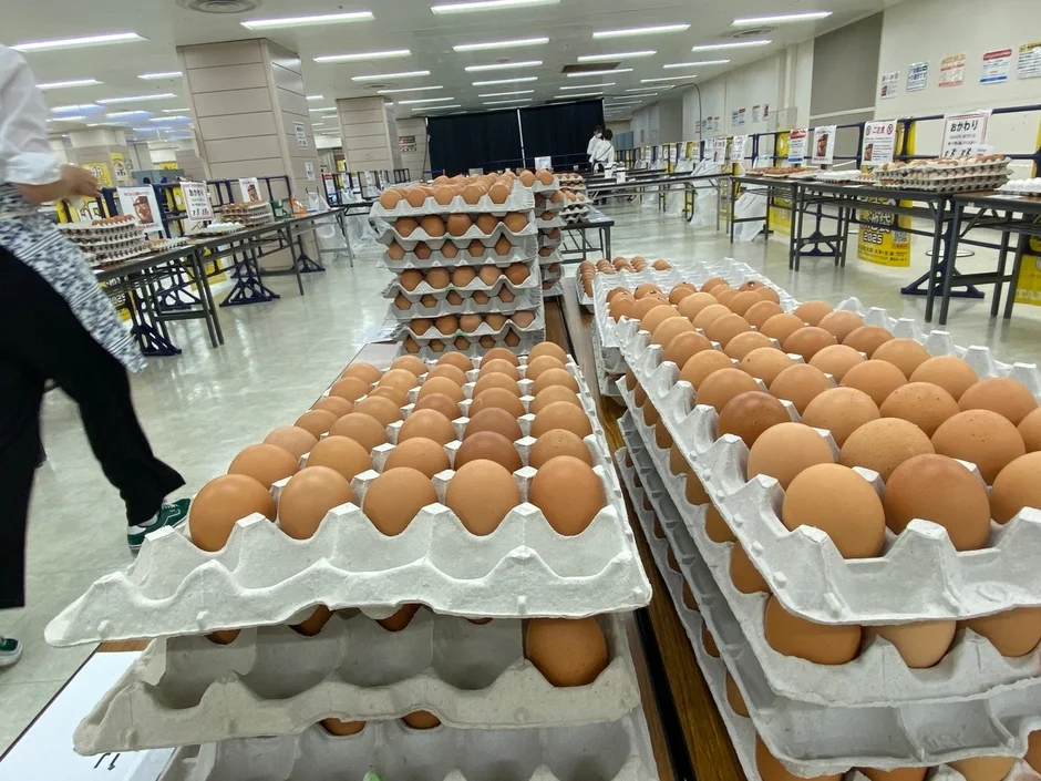 大量の卵が並ぶ会場の様子