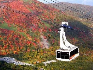 紅葉の山とゴンドラ