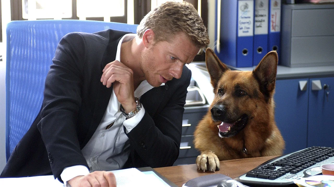 男性とジャーマンシェパード犬がオフィスにいる画像
