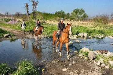 川を渡る乗馬体験