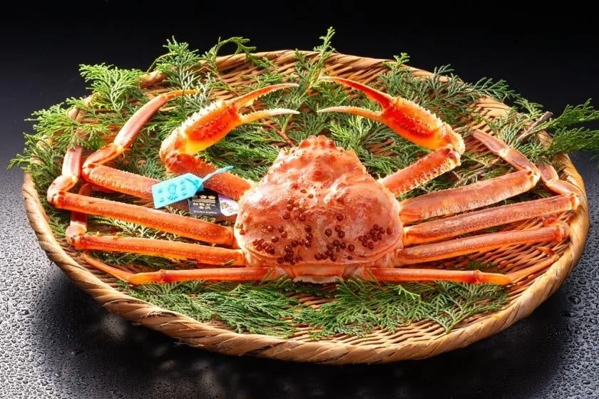 竹ざるに盛り付けられた、茹でられた新鮮な加能ガニ(カニ)の画像です。緑の飾り葉が添えられ、カニには青いブランドタグが付けられています。高級感があり、食欲をそそる一品です。