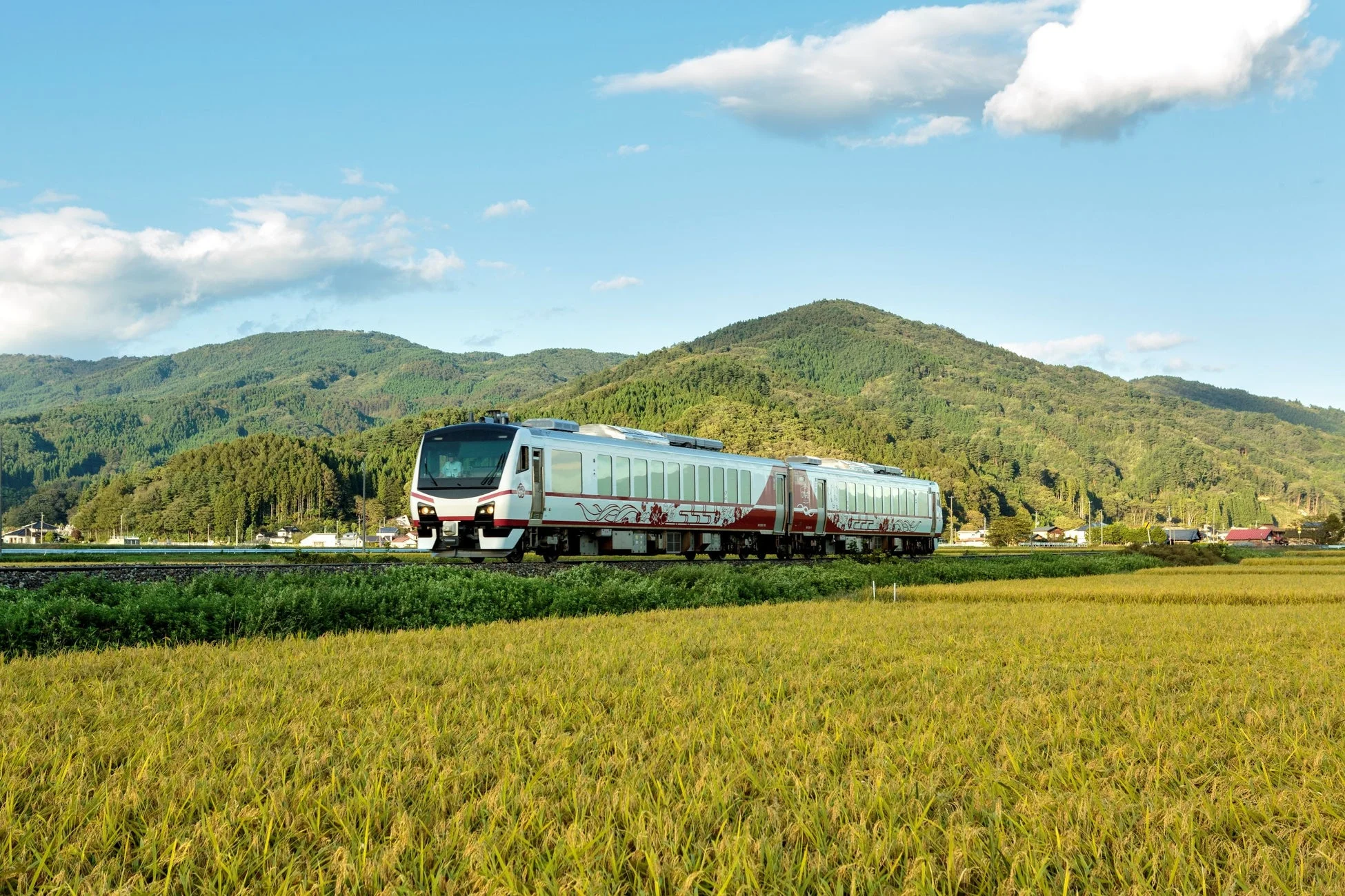青い空と緑豊かな山々を背景に、黄金色の田んぼの中を走る特急列車