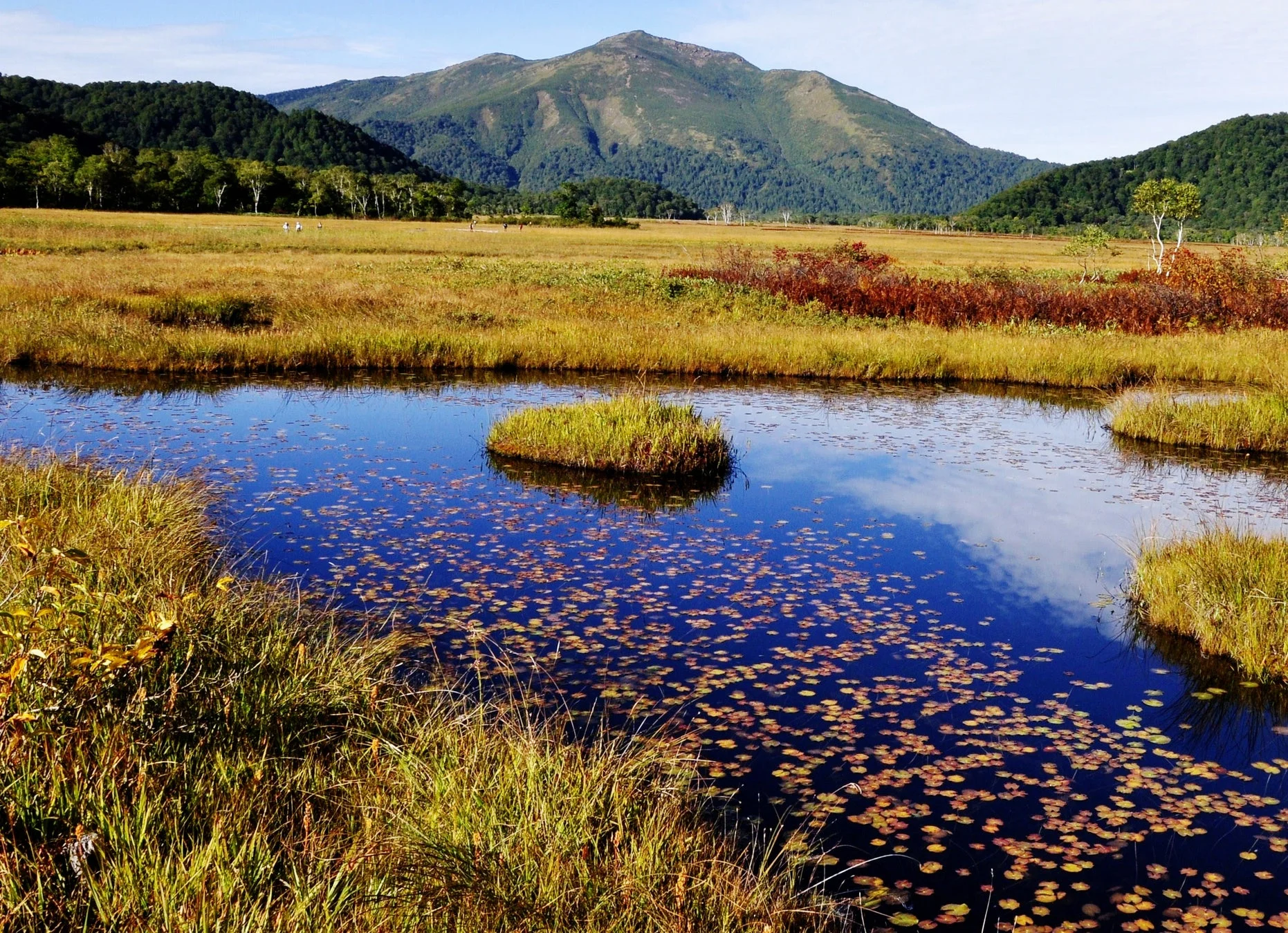群馬県 片品村の紅葉