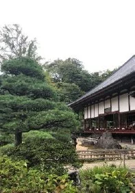 日本の伝統的な寺院と庭園