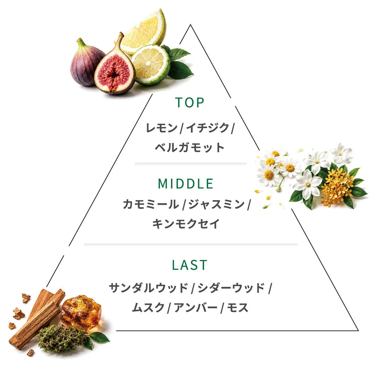 香りの構成