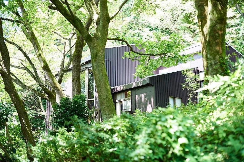 自然の中のモダンな建物