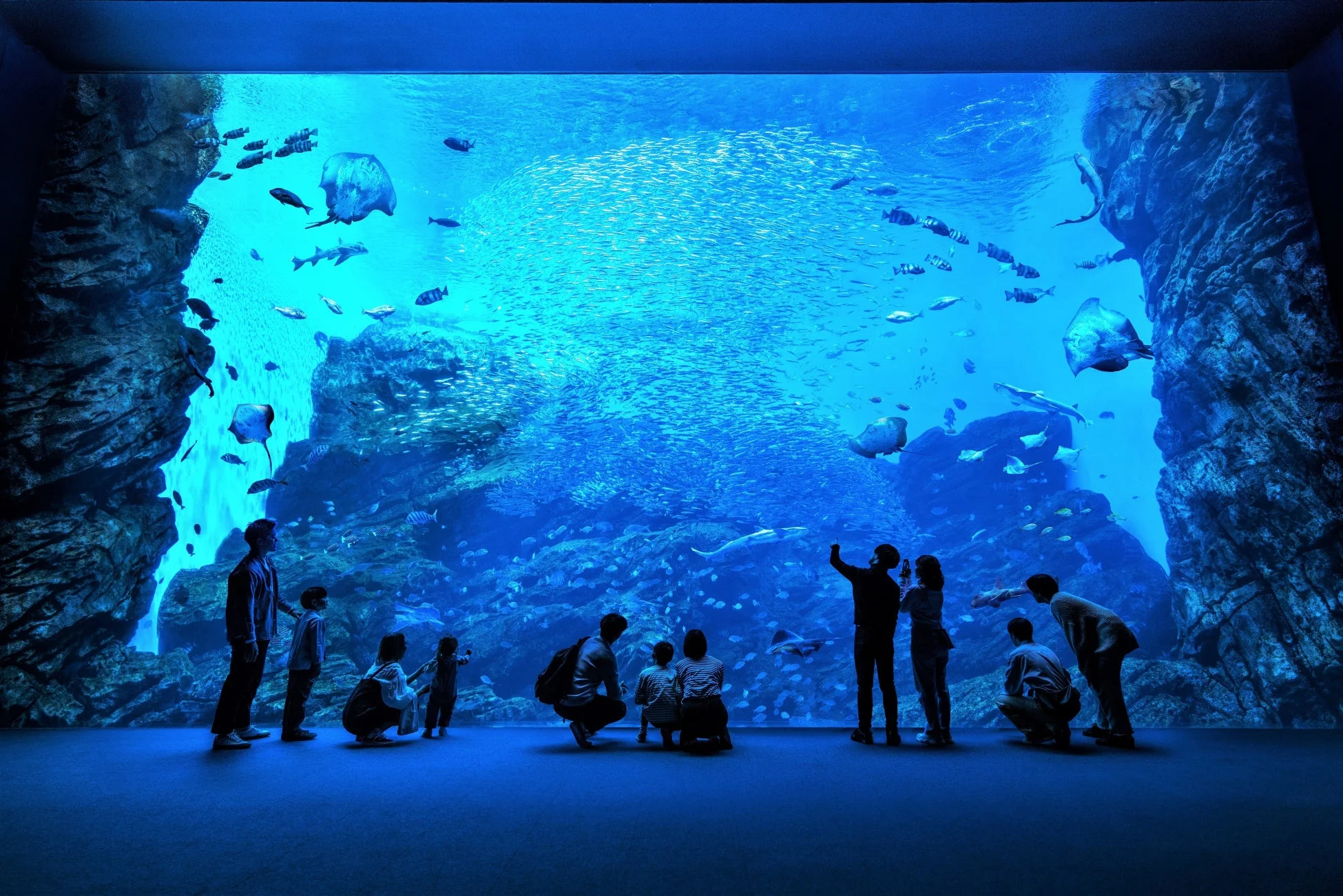 青い光に照らされた巨大な水槽で、多くの人々が魚の群れやエイ、サメなどの海洋生物を鑑賞している様子
