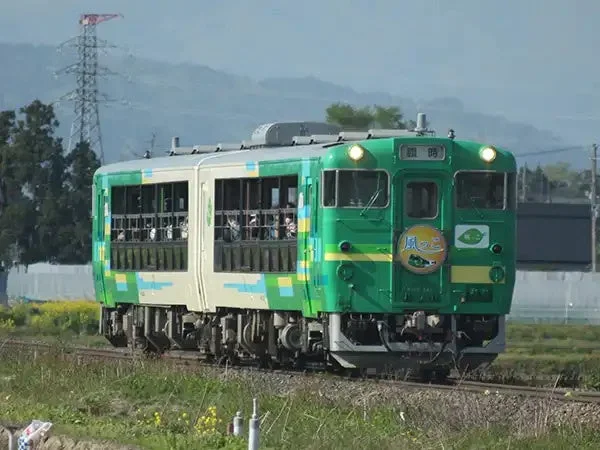 菜の花畑を走る臨時列車「風っこ」