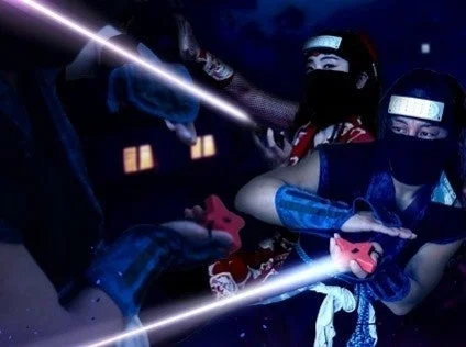 e-Ninjaのイメージ