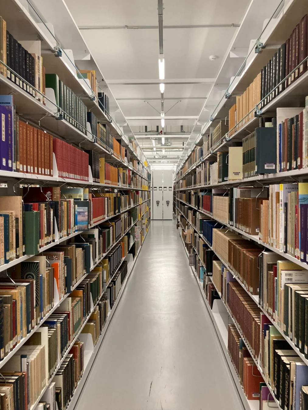 図書館の書架に並ぶ本