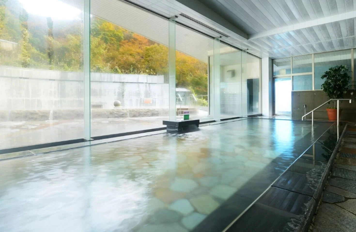 秋の紅葉が広がる屋内温泉施設
