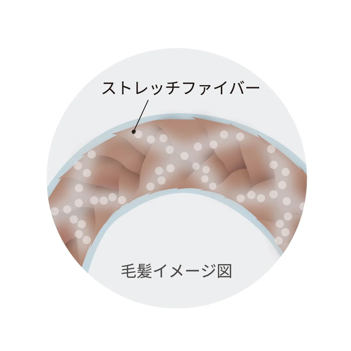 ストレッチファイバー 毛髪イメージ図