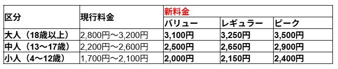 年齢区分ごとの料金体系を示す表