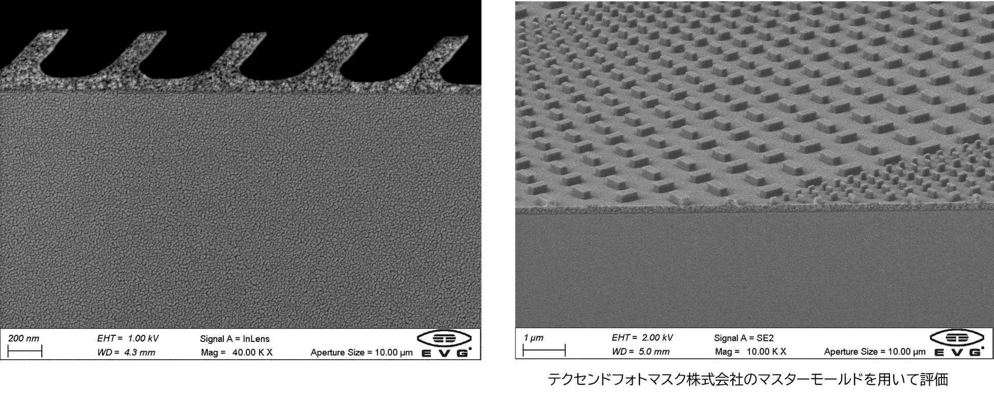 SEM画像:微細加工された構造