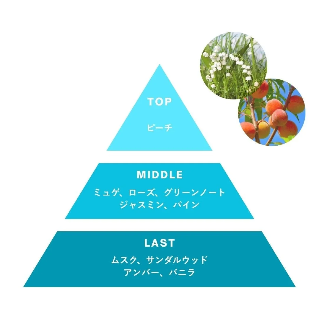香りのピラミッド