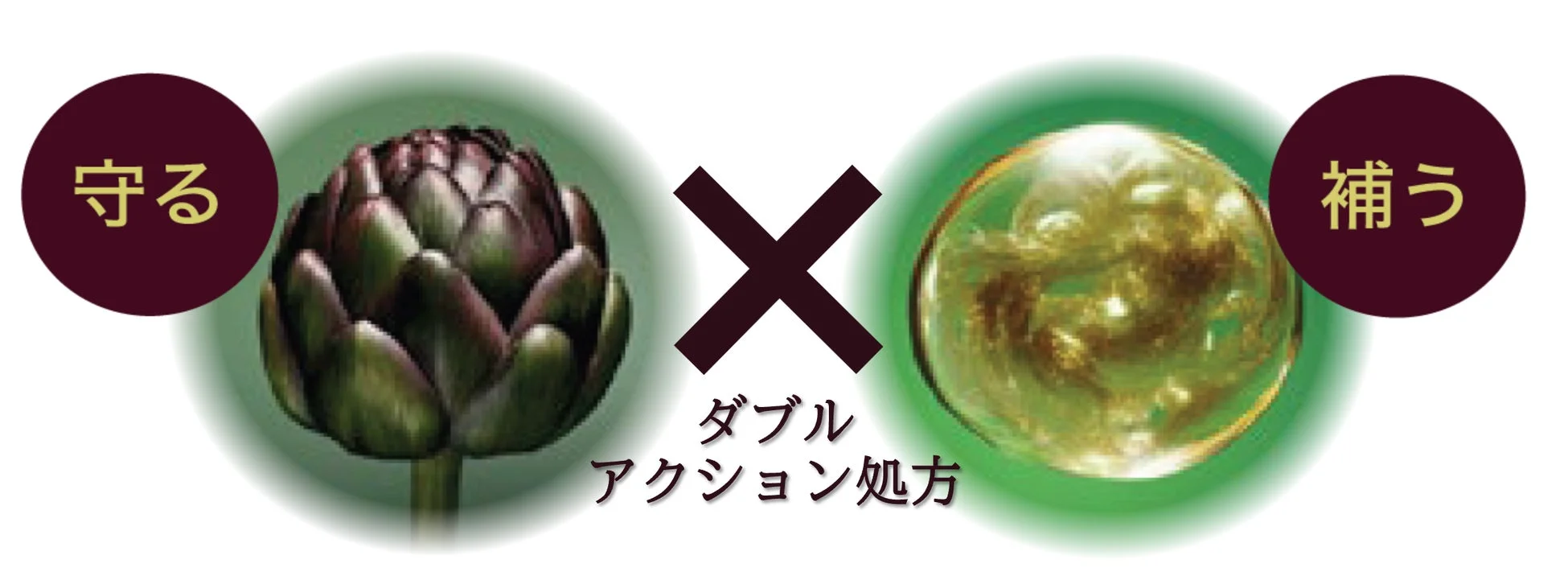 アーティチョークと黄金色のカプセルが対比され、「守る」と「補う」のダブルアクション処方を示す、健康関連のイメージ